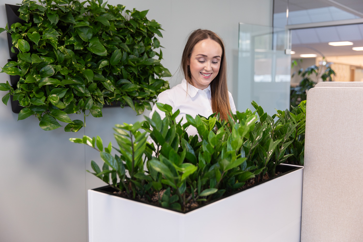 Gr&oslash;nne planter i kontorlaget
